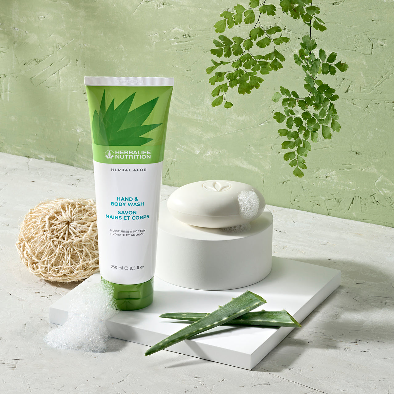 Herbal Aloe Hand & Body Wash